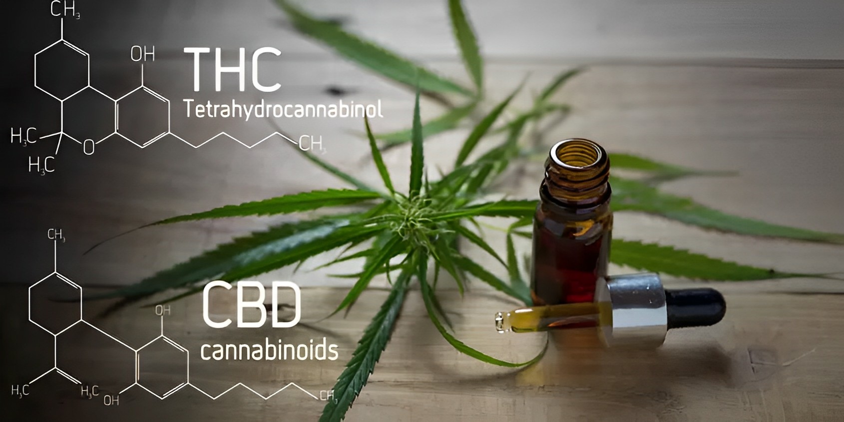 As diferenças entre CBD e THC