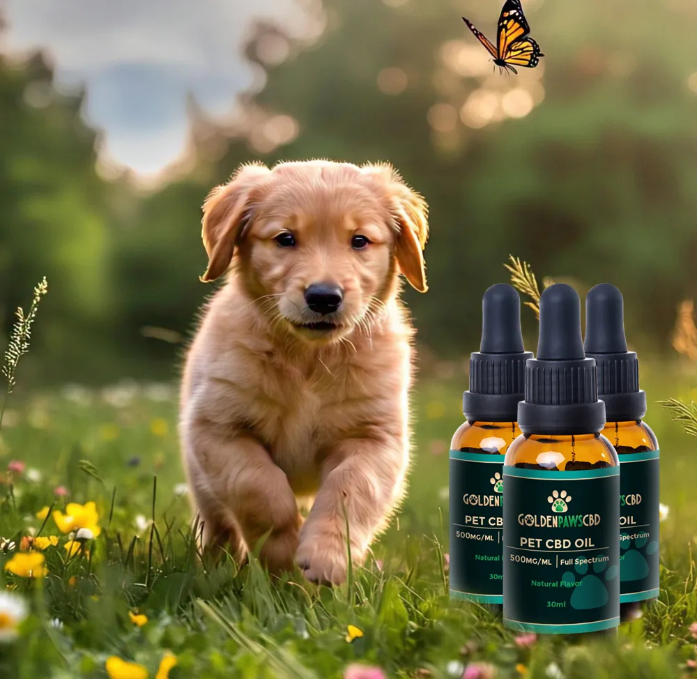 CBD Isolate Tincture for Pets 1000mg packaging details
